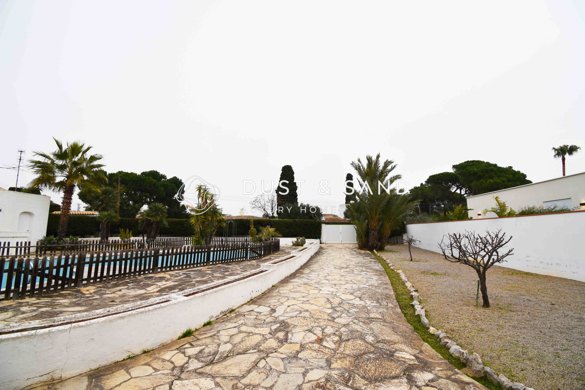 DSC_0013 copia
