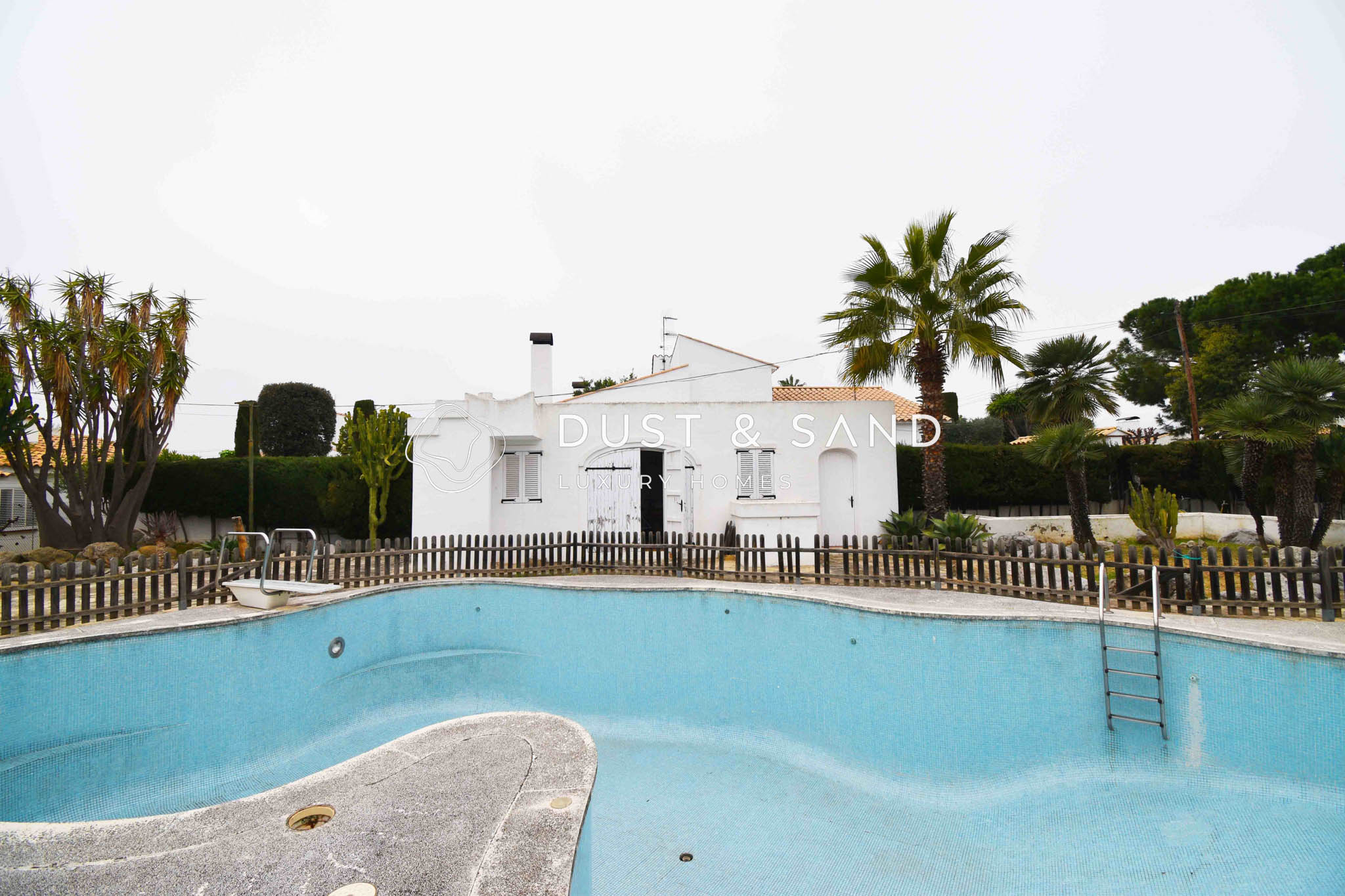 DSC_0020 copia