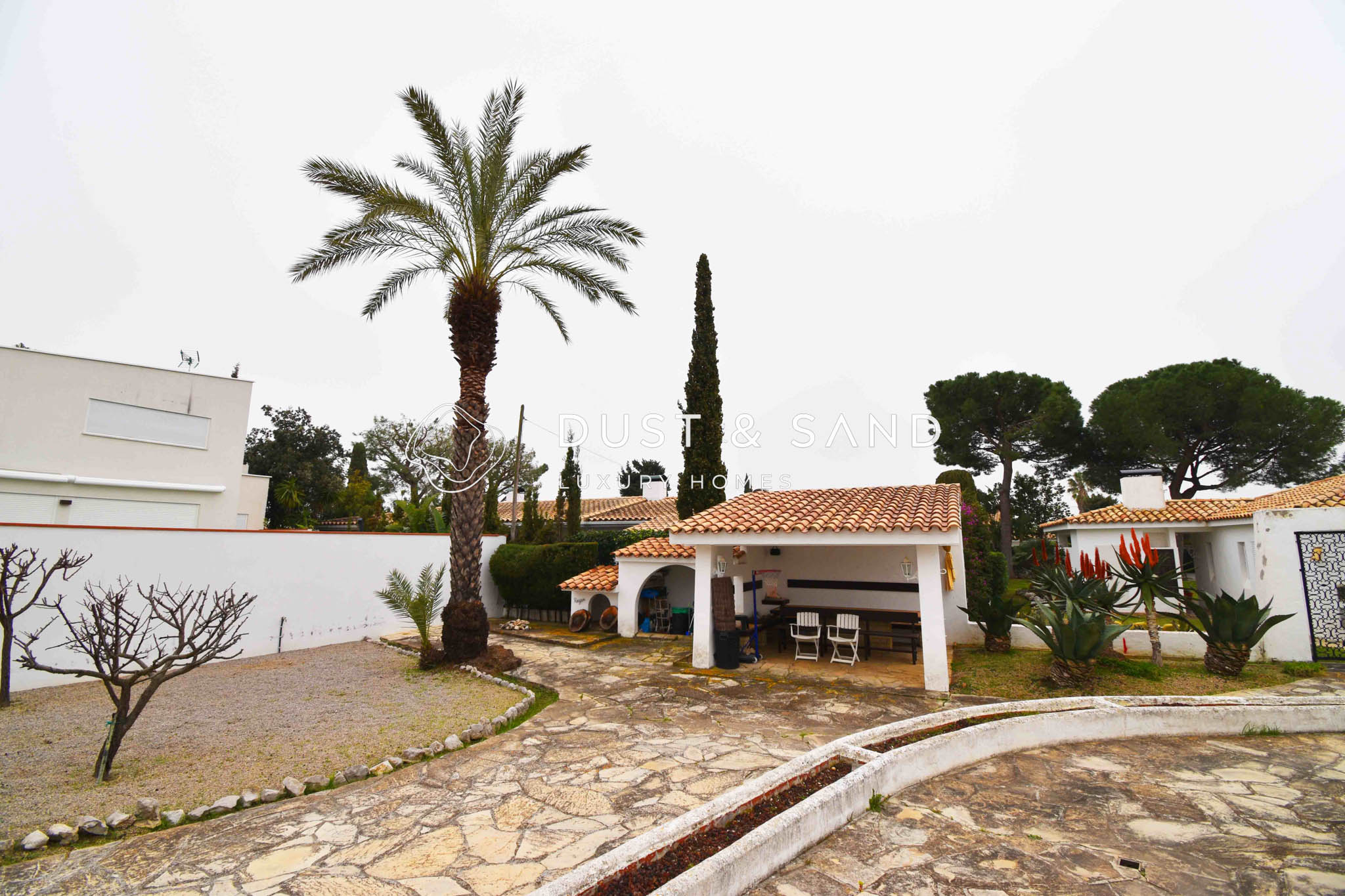 DSC_0021 copia